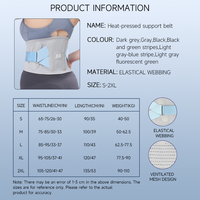 Ceinture de soutien lombaire personnalisable OEM thermocollée avec barres à ressort bioniques à 4 pôles, attelle dorsale respirante pour la gym, le travail et le sport
