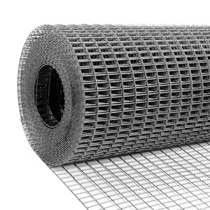 For Animal Cage 2x1 Galvanized Iron Wire Welded Wire Mesh