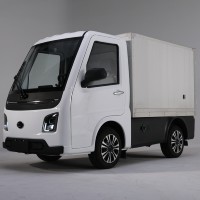 Fourgonnette électrique chinoise Runhorse TEV EEC COC L7e Mini voiture électrique 2 places Véhicules à énergie nouvelle Transport Quadricycle Camion pour adultes