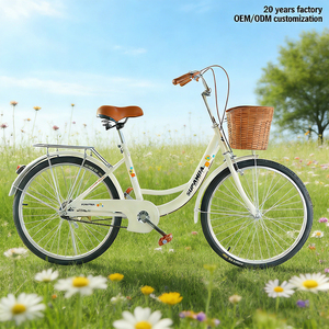 Vélo Urbain Utilitaire Personnalisé pour Femme, 26 Pouces, en Acier Carbone Soudé <span class=keywords><strong>TIG</strong></span>, Frein V, Style Vintage, Disponible en Stock – Fabrication OEM - Product Image 1