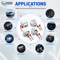 Connecteur Électrique Automobile 2 Broches 6189 0175 90980 11019 Personnalisé pour Faisceau de Câblage Automobile