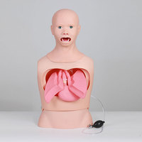 Simulador Avanzado DARHMMY para Cuidado Nasogástrico y Traqueal, Modelo de Enseñanza para Alimentación Nasal