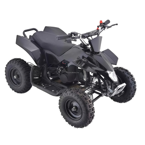 Quad ATV a Benzina 49cc con Avviamento Elettrico, 2 Tempi, ABS, Acciaio Inox, Certificato CE per Bambini, Vendita Calda dalla Fabbrica Cinese - Product Image 1