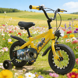 Bicicletta Monovelocità Nera con Pneumatici, Telaio in Acciaio Resistente, Stile Mountain Bike Urbana per Bambini da 2 a 5 Anni - Vendita all'Ingrosso Diretta dalla Fabbrica - Product Image 1