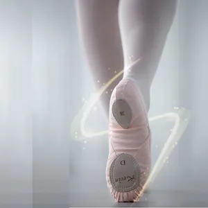 Ballett-Tanz-Schuhe Großhandel klassischer Stil Kevin Boutique Ballett weiche Schuhe für Damen Baumwollstoff Leinwand Kunststoff-Beutel 10 Schuhe