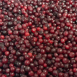 Vente en gros de myrtilles surgelées LQF de qualité supérieure, mélange de fruits certifiés HACCP, 10 kg - Product Image 1