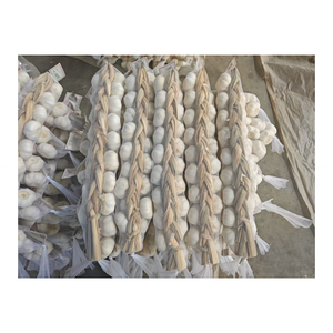 Exportación de <span class=keywords><strong>ajo</strong></span> rojo de alta calidad, <span class=keywords><strong>ajo</strong></span> blanco púrpura fresco, <span class=keywords><strong>ajo</strong></span> orgánico para el mercado de Oriente Medio - Product Image 4