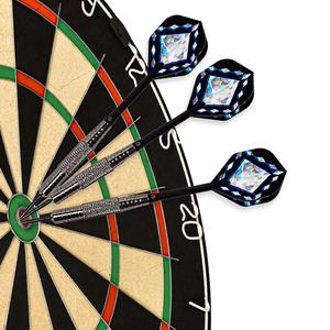 Dardos Compactos y Duraderos Darten Skipjack, Dardos de Hierro Personalizados con Logotipo para Noches de Juego - Product Image 6