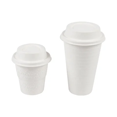 Cover For Double Wall Paper W Sugarcane 8oz 12oz Lids Biodegradable Pla Dome Lid Cup
