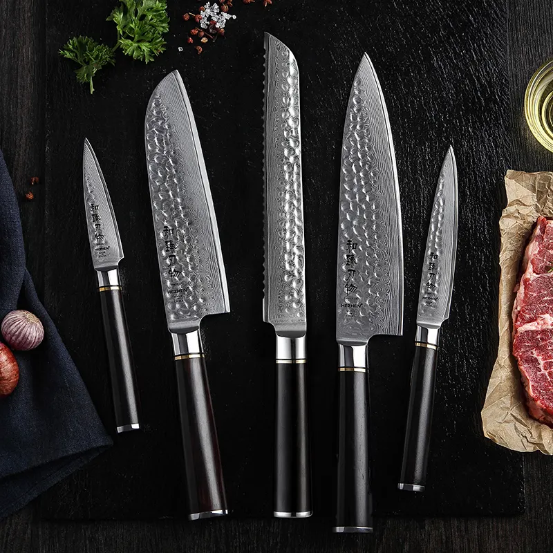 5 pcs Professional Japanese 67 Layers Damascus steel Premium Nature Ebony Wood wooden Handle Sharp Kitchen Knife Set