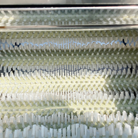 Machine à éplucher automatique pour le lavage des pommes de terre et des carottes éplucheuse d'oignons éplucheuse d'oignons