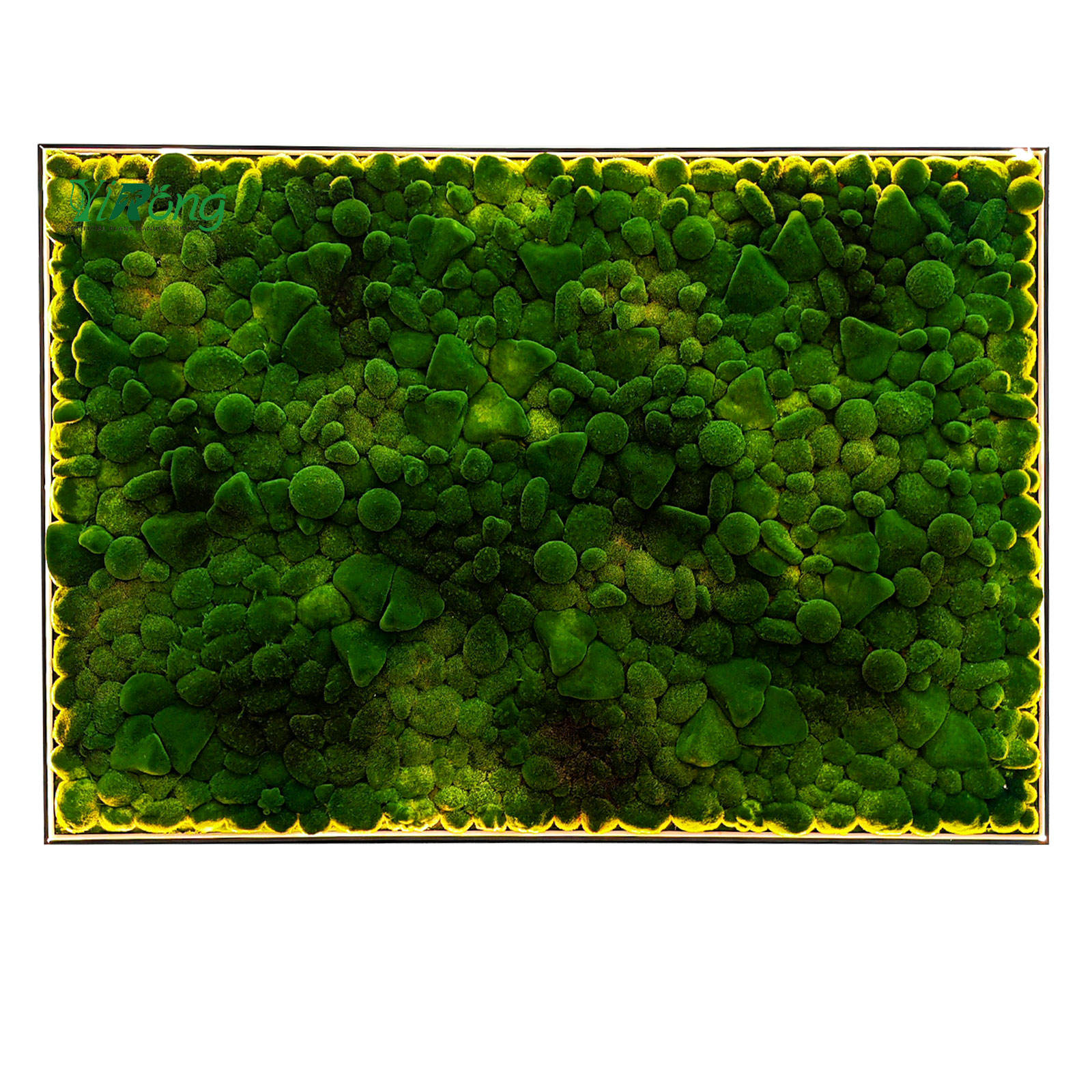 กองทัพสีเขียว