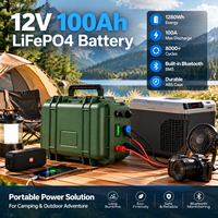 Batterie au lithium LiFePO4 12V 100Ah, station d'alimentation portable pour le camping en plein air, les camping-cars, la pêche et la sauvegarde à domicile en Europe