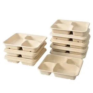 100% biodegradable sugarcane bagasse 4 compartment Bento lunch box disposable food container with lid for School Work Travel