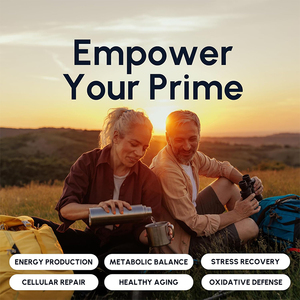 Oem nad קפסולות nad תוסף liposomal nad + תוספת עם רזברטרול סיבולת בריאות סלולרית & הזדקנות בריאה - Product Image 6