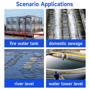 جهاز استشعار مستوى المياه الغاطسة IP68 مقاوم للانفجار بتقنية ATEX مع مخرجات 4-20 مللي أمبير و0-10 فولت وRS485 - Product Image 6