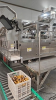 Machine de comptage rapide VX pour aliments surgelés, œufs épicés, bonbons, barres chocolatées, intégrée à une machine d'emballage, compteur visuel