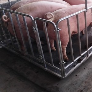 Langlebige Stahl-Bodenwaage 1 Tonne Digital 1,0*1,0m 1000kg Kapazität OEM Anpassbar Präzise Gewichtsmessung - Product Image 4