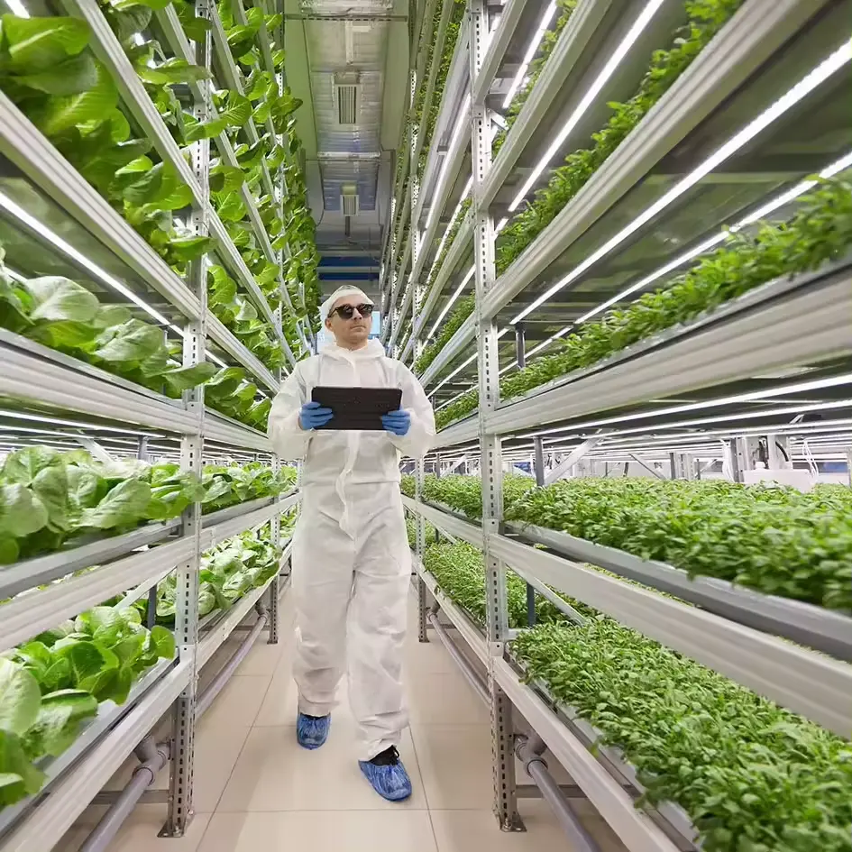 Skyplant Smart Farm grow vertical sistema de cultivo hidropónico 40 pies contenedor de envío invernadero de granja
