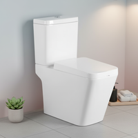 Offre Spéciale – Ensemble WC de Luxe Moderne Européen en Céramique à Double Chasse Gravitaire, Cuvette et Siège de Toilette