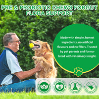 Oimmal Friandises à Mâcher Souples Pré- & Probiotiques pour Chiens avec Enzymes, Citrouille & 6 Souches de Probiotiques – Complément pour la Santé Digestive