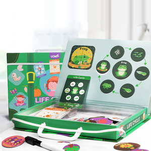 Life Cycle Preschool Teaching Educational Students Learning Tools Magnetic Puzzle Toys