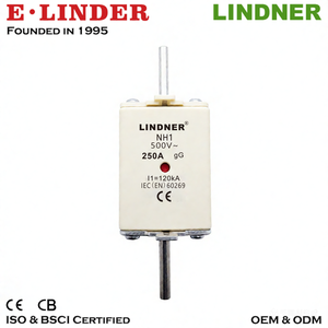 נתיך LINDNER כפול מחוון NH גודל 1 NH1 gG GL Class 500V 80A 100A 125A 160A 200A 250A בעל תקן CE ו-CB מתח נמוך LV HRC - Product Image 1