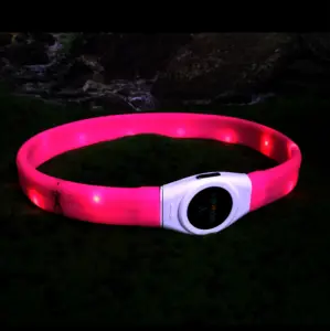 Laroo 2024 büyük pet malzemeleri USB şarj edilebilir köpek aksesuarları LED lüks köpek tasması gece yürüyüş ve koşu için suit