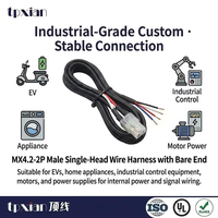 Kabel Harness Khusus MX4.2 Pitch 2P Male Housing UL2464 22AWG 4 Core dengan Ujung Tanpa Isolasi