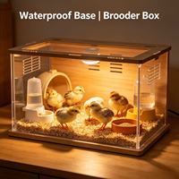Boîte d'élevage pour cailles en acrylique avec base en bois imperméable, petite cage transparente pour l'élevage de bébés cailles et de poussins