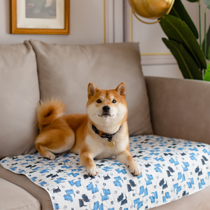 Puppy Dog Pet mẫu miễn phí rò rỉ bằng chứng thấm cổ mềm khô đào tạo <span class=keywords><strong>PEE</strong></span> Pads - Product Image 1