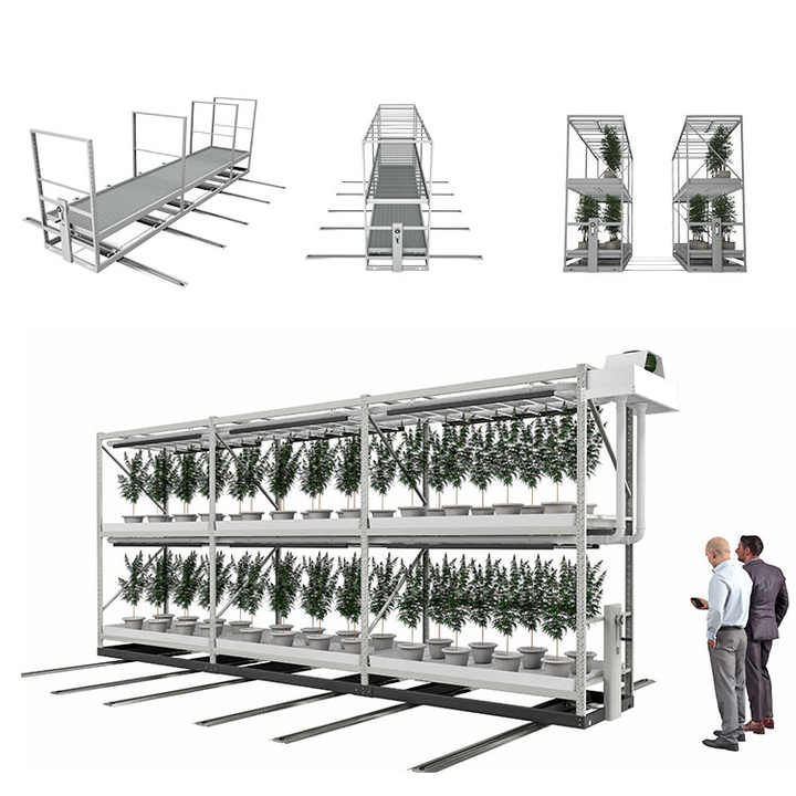 Hydroponic Growing Racks - Efficient Vertical Systems