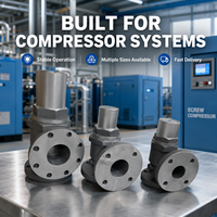 Válvula de Presión Mínima de Alta Calidad Red Star MPV-25 MPV-50FMPV-65 MPV-80 Compatible con Compresores de Tornillo Universales