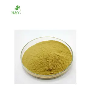 Tinh Khiết Tự Nhiên Banaba Leaf Extract Powder Corosolic Acid