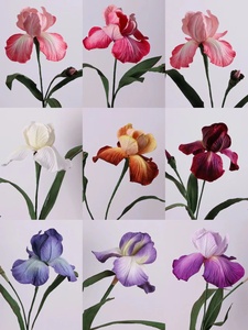 <span class=keywords><strong>Iris</strong></span> en papier coloré de fleur géante unique fait à la main A-138 personnalisé pour la décoration de mariage d'inspiration unique de conception florale - Product Image 5