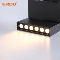 ERDU Floding Floding Light Led Système d'éclairage sur rail Cuisine intérieure Salon Chambre Spot sur rail en aluminium