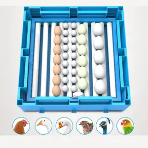 Mini incubadora de ovos para incubadora, mini ovo fertilizado de galinha com 30 ovos para incubadora
