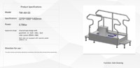 Machine automatique de nettoyage et de désinfection des semelles de chaussures à double voie, activée par capteur, en acier inoxydable 304 pour les usines de transformation alimentaire