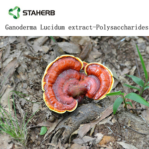 Reishi Polysaccharides Lingzhi Extract Mushroom Extract <strong>Ganoderma</strong> <strong>Lucidum</strong> Extract Packaging Customization - Product Image 4