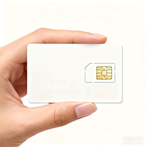 <span class=keywords><strong>SIM</strong></span> Card globale M2M per <span class=keywords><strong>SIM</strong></span> dati GPS Tracker per rivenditori | Long Standby supporta progetti GPS Tracker - Product Image 4