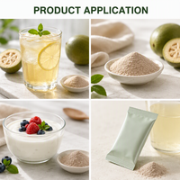 Extrait de Fruit du Moine en Poudre en Vrac, Qualité Alimentaire, Édulcorant Naturel, 50% Mogroside V Pur, Pour Adultes, Sans Gluten, Sans Produits Laitiers, Digestif