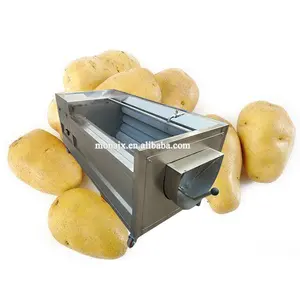 Endüstriyel ticari elektrikli otomatik fırça sebze yıkama ve soyma makinesi patates sebze yıkama satılık