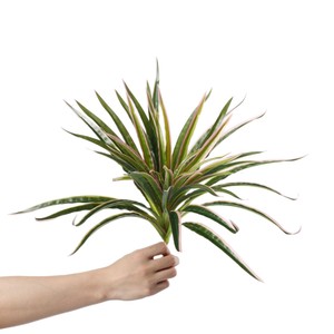 Plante artificielle araignée Dream Castle, décoration intérieure en plastique, arrangement pour vase, verdure de bureau style nordique - Product Image 5
