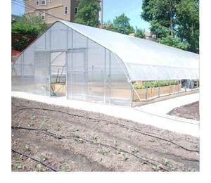 Fournisseur de serres agricoles à simple travée à faible coût pour tomates et légumes - Groupe Sinok - Product Image 4