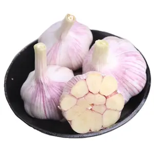 Fresh garlic Ready To Ship from Shandong supplier