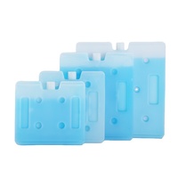 Nouvelles sacs isothermes Hslimend pour le transport de nourriture, mini-packs de gel réfrigérant, sacs glaciers isolés, 100 unités, isolation froide