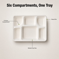 Assiette à 6 compartiments 100 % compostable en bagasse de canne à sucre, plateau repas jetable biodégradable pour cantine scolaire et restauration