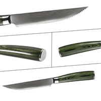 Couteau de Chef Garwin Damas 67 couches entièrement dentelé en acier inoxydable avec manche en bois Pakka, personnalisable OEM, vente en gros pour la découpe de viande