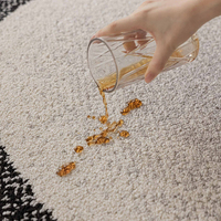 Tapis tissé à la machine en PET bouclé, résistant, imperméable et écologique pour salon, chambre, salle de bain, entrée