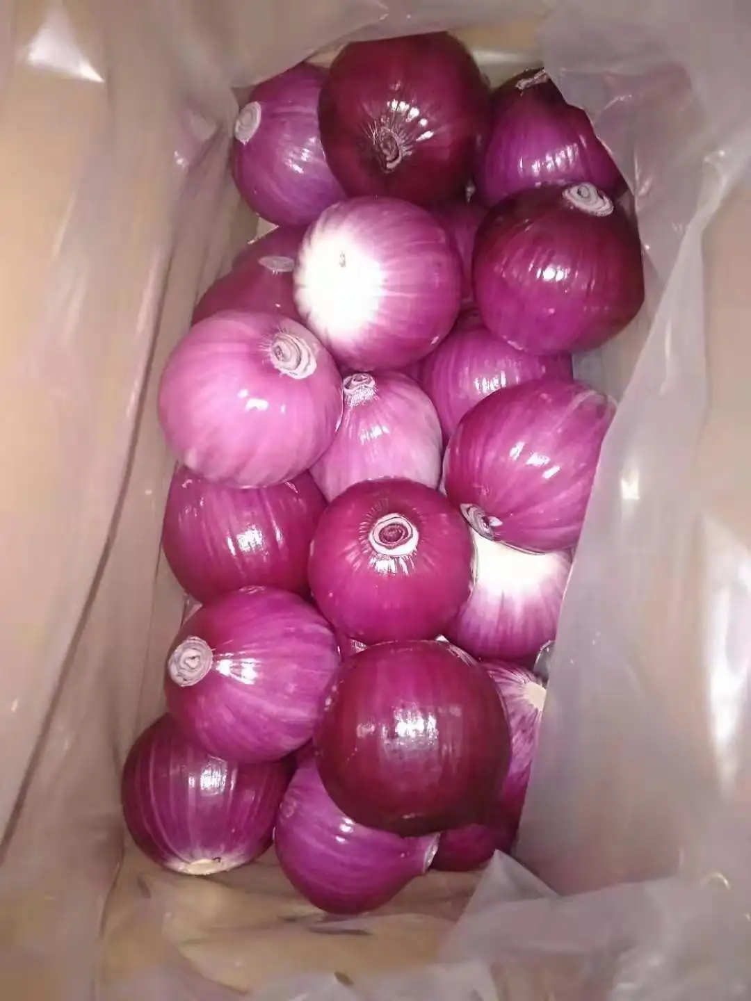 2023 of Sinofarm brand fresh 10kg whole peeled onion price red and yellow onions peeled Chinese fresh onions fresh vegetables